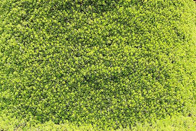 万代南梦宫分享《刀剑神域：异绊集结》“系统”预告片